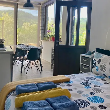 Verona Apartment Buzet