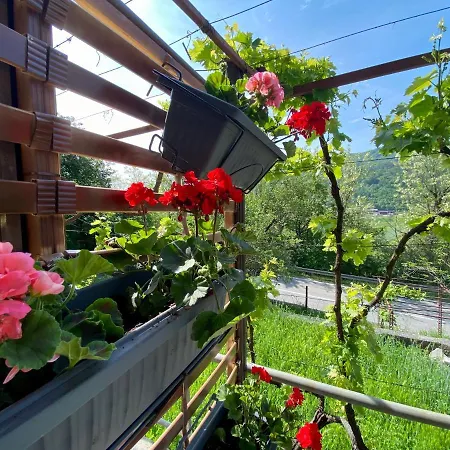 Apartment Verona Buzet