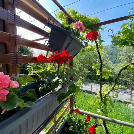 Apartamento Verona Buzet
